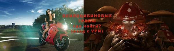 мдма Богородицк