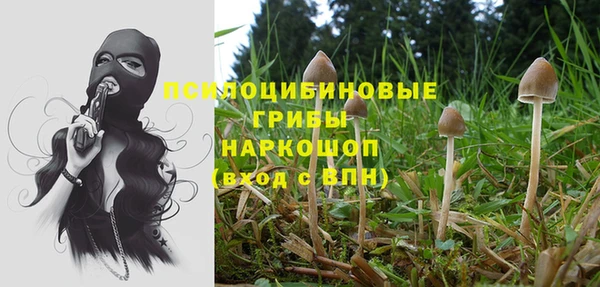 МДМА Богданович