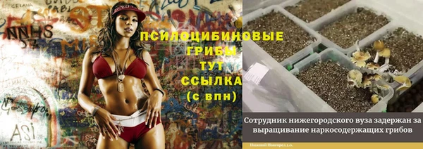 МДМА Богданович