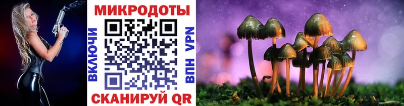купить наркотик  Новосибирск  Галлюциногенные грибы Cubensis 